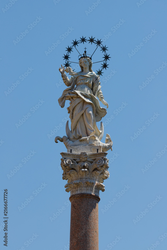 Fototapeta premium Lucca - The marble statue of Immaculate Conception -Colonna della Madonna dello Stellario, on the square Piazza Santa Maria Forisportam by Giovanni Lazzoni (1687)
