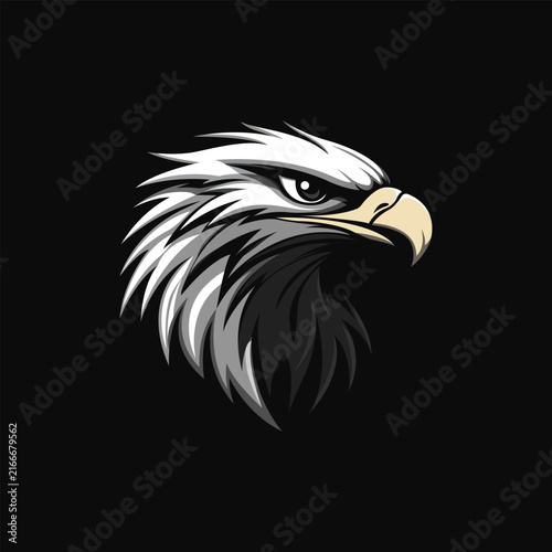 Powerful stylized eagle head illustration featuring sharp feathers, focused eyes, and a light beige beak against a clean black background.