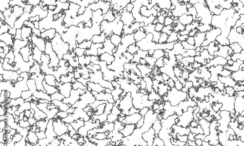 Detailed microscopic black and white abstract pattern resembling interconnected cellular structures or intricate grain boundaries in advanced material science illustration