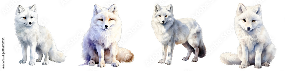 Naklejka premium Watercolor painting of a group of arctic foxes sitting and standing on a black background