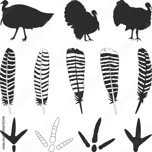 Turkey icon set Silhouette, Turkeys Tail Feather Collection SVG, Turkey Footprint Elements Set vector Illustration