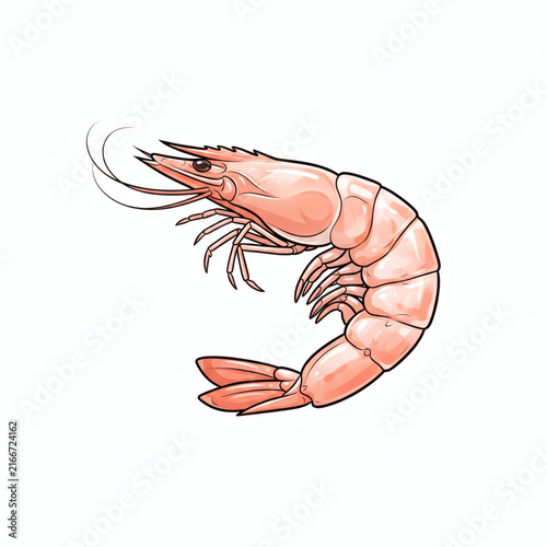 Fresh Cooked Shrimp Seafood