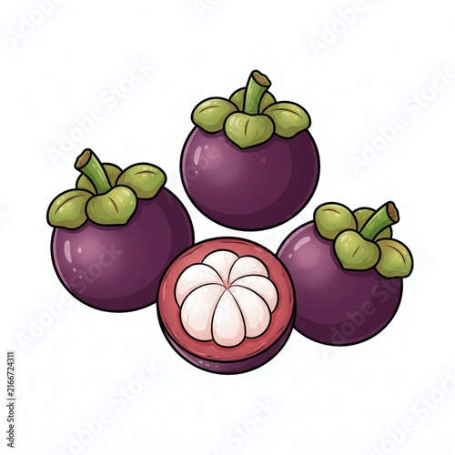 Fresh Mangosteen Fruits with Half and Whole Vector Illustration