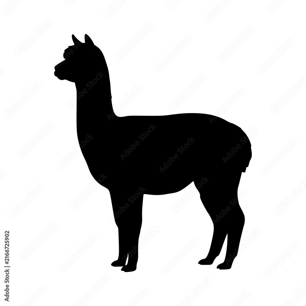 Naklejka premium Standing alpaca silhouette vector illustration, Alpaca silhouette vector illustration