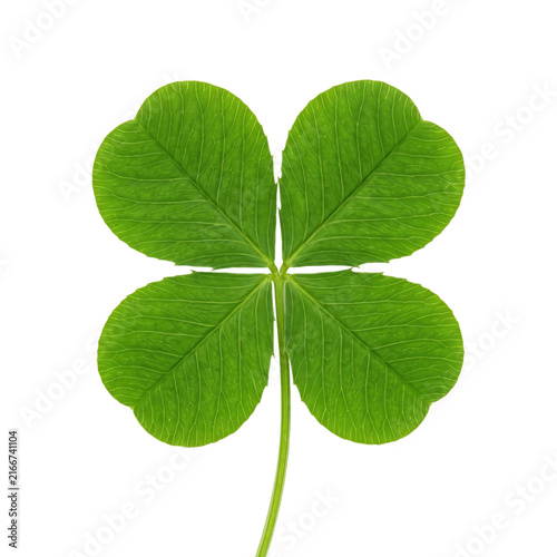 Fotografía A vibrant green four-leaf clover isolated on a pure white background