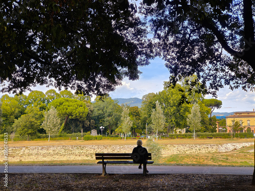 A senior woman sits alone on a wooden bench in a peaceful public park. She looks out over the grassy landscape and trees on a sunny afternoon in the city.