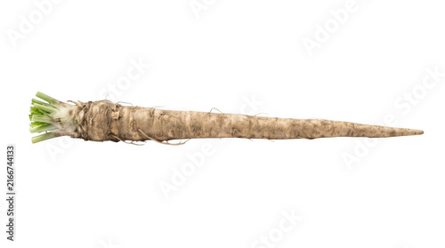 Fresh organic parsnip root vegetable isolated on transparent background for healthy cooking and culinary ingredients