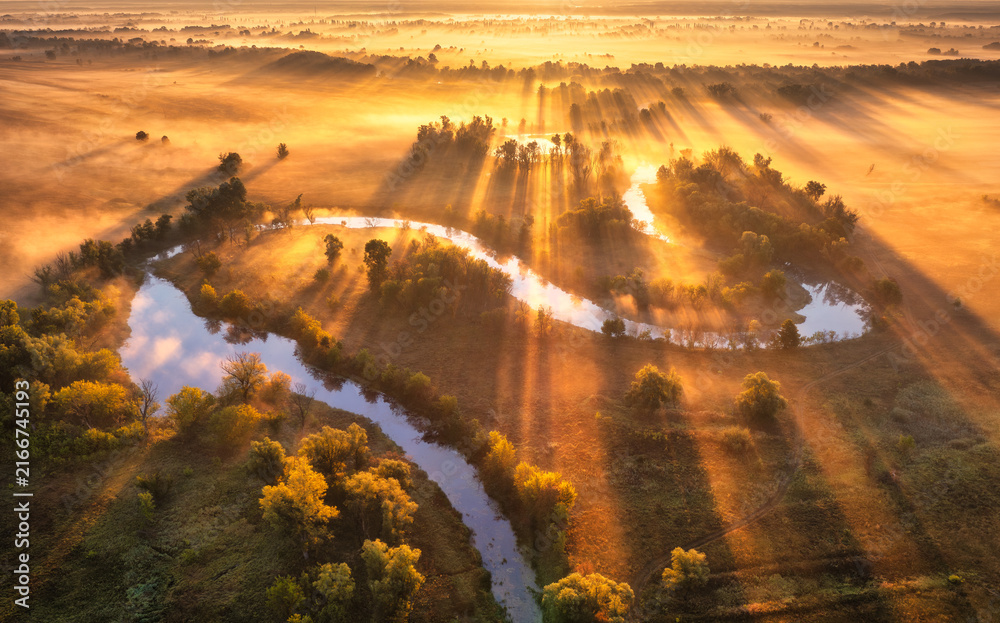 Fototapeta premium Winding river in golden fog with sunbeams during sunrise in countryside. Aerial drone view of autumn landscape with trees, sun flare, mist, field, water reflection and morning golden light. Top view