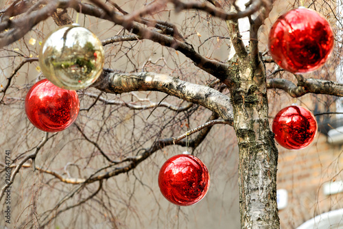 Photography Red and gold baubles hanging from tree branches along street in Dublin city