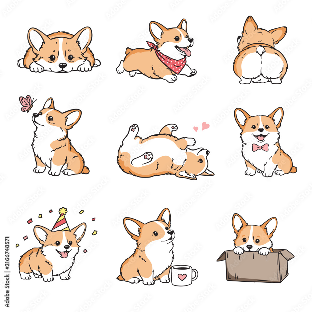 Fototapeta premium Vector collection of nine cute welsh corgi puppies in different poses and situations in kawaii style. Set includes corgi playing with butterfly, lying on its back, sitting in a birthday hat