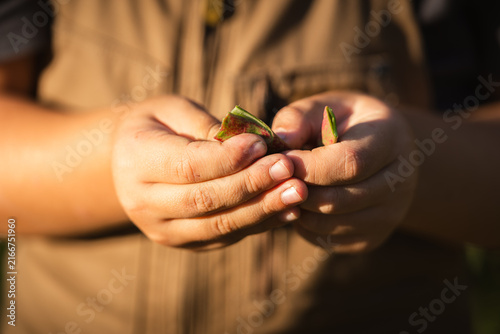 Soft sunlight glows over gentle hands