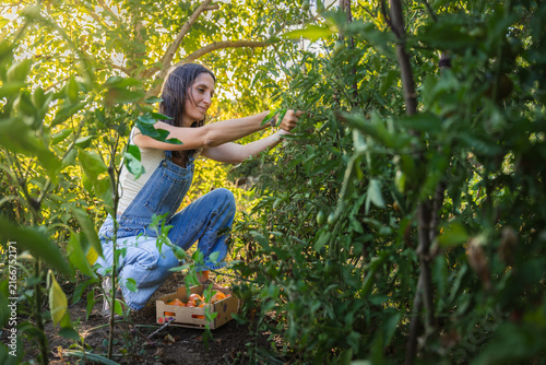 Woman smiles as she picks fresh fruit in a sunlit orchard