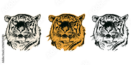 Three stylized tiger head illustrations featuring a central orange design flanked by two monochrome black and white versions