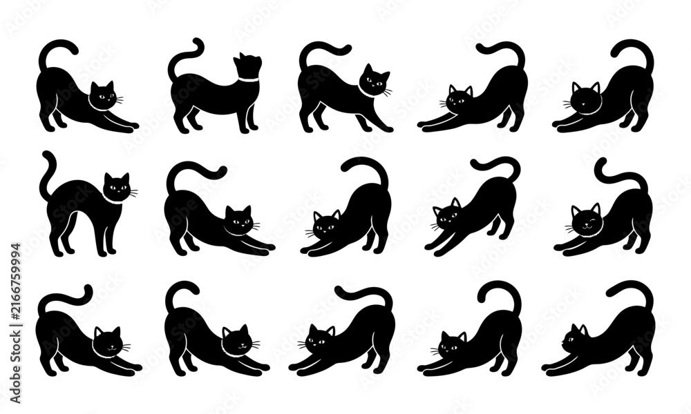 Obraz premium A collection of various poses featuring a spooky halloween black cat silhouette isolated on a plain white background