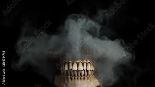 Human skull facing forward against black background with detailed teeth and hollow eyes