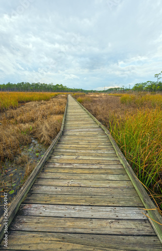 Worn Wooden Boardwalk Leading Deep Into the Marshlands