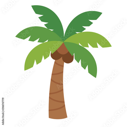 Tropical Palm Tree with Coconuts Vector Illustration