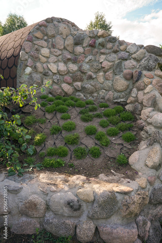 Planting Irish moss Sagina subulata on sloped backyard retaining wall. Vertical gardening and living wall landscaping project with natural stones and green groundcover plants in summer garden.