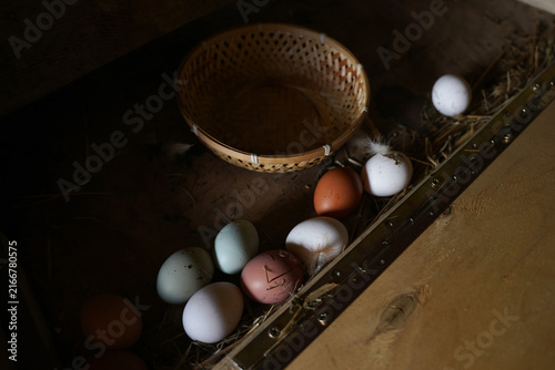 Fresh colorful chicken eggs in nesting box with wicker basket. Natural organic multicolored eggs on straw in coop, farm-to-table and rustic poultry farming concept.