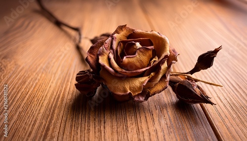 Dry Rose On A Warm Toned Wooden Surface