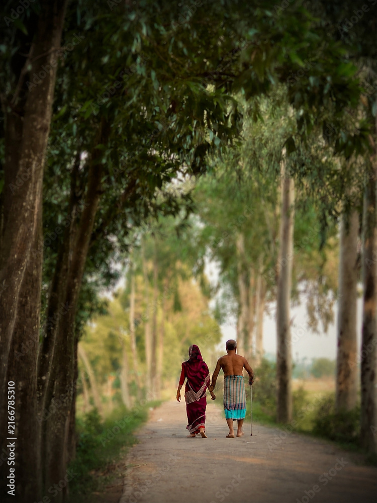 Fototapeta premium A timeless walk of love, companionship, and simple rural beauty