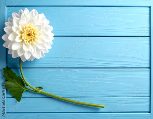 flowers on wooden background