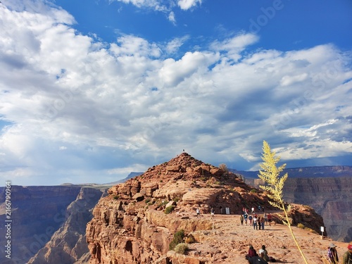 Cuadro en lienzo grand canyon Colorado river