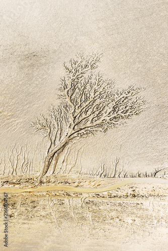 Fotografía Drone image of natural tree-like pattern carved into the mudflats by the high speed ebb and flow of tidal bores