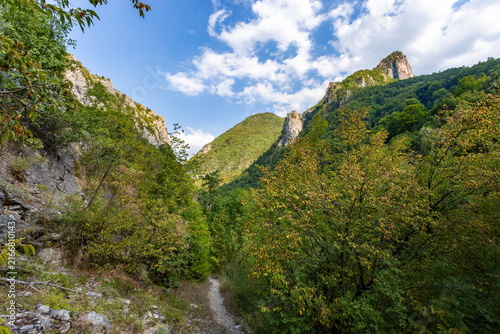 Forest Covered Mountains and Steep Rocky Cliffs under Blue Sky on Sunny Summer Day