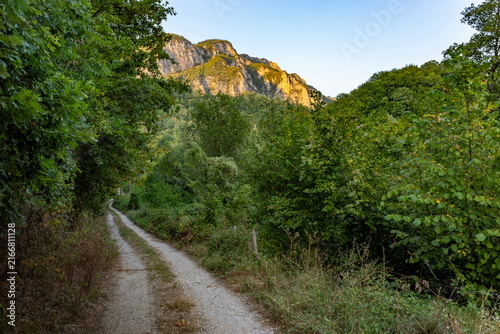 Mountain Road Surrounded by Green Trees and Rocky Cliffs at Summer Evening