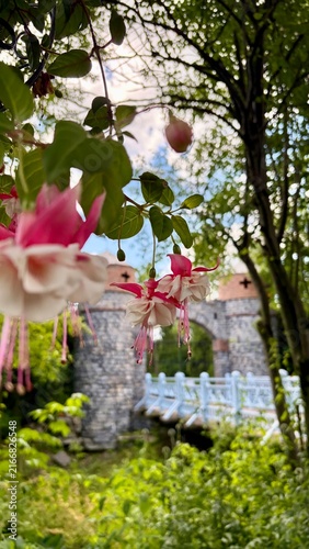 Foto Fleurs