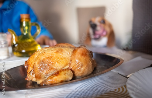 Foto Thanksgiving Day Roasted whole chicken on table as hungry pet dog watching with