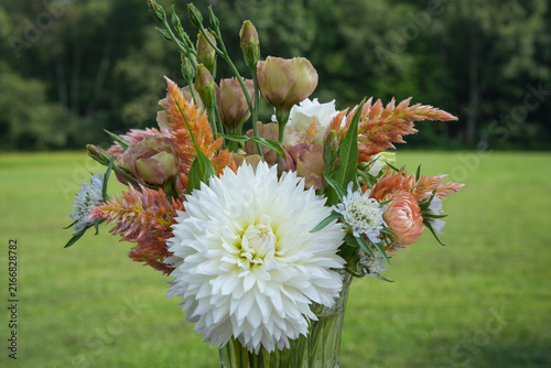 Summer floral arrangment. Large white dahlia, celosia, starflowers, and lisisanthus. Outdoor, natural background.