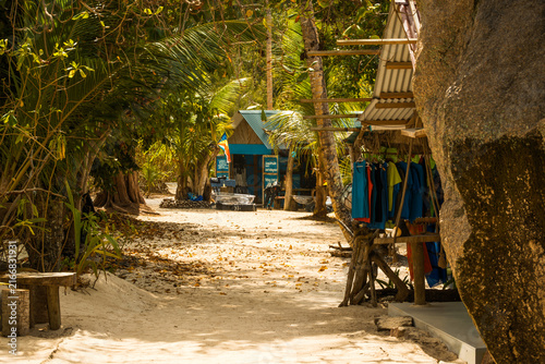 Sandy path through tropical palms leading to Anse Source d'Argent beach, La Digue, Seychelles