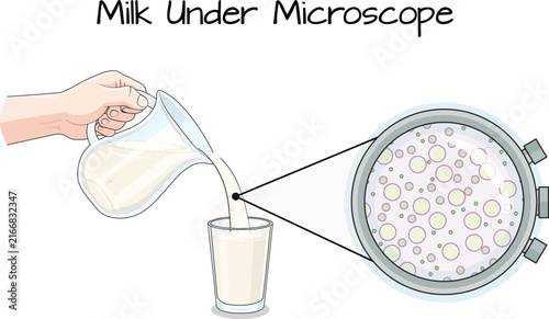 Принти на полотні Milk Under Microscope Fat Globules Science Education Flat Style Vector Illustrat