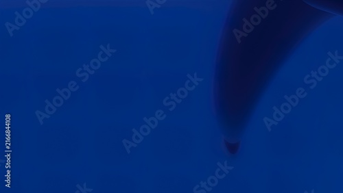 Abstract blue ink swirl in water creating fluid dynamic motion with dark gradient contrast