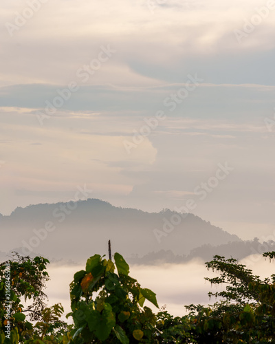 Misty Rainforest Mountains Beneath Layered Tropical Clouds