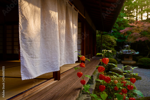 処暑　鬼灯が夏の終わり知らせている