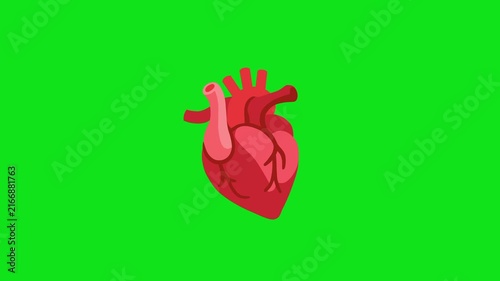 Heart Health Signs You Should Know
