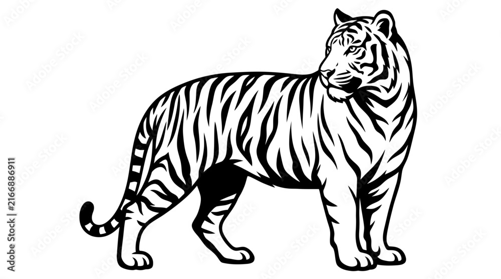 Fototapeta premium Black and white standing tiger illustration.