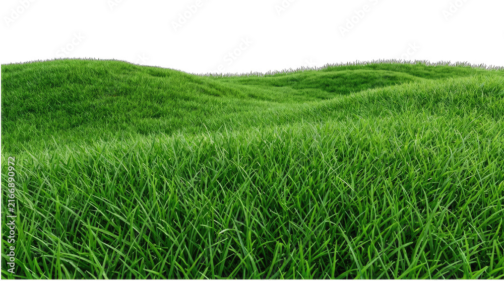 Obraz premium Green grass field with lush blades on rolling hills nature background for landscape design.