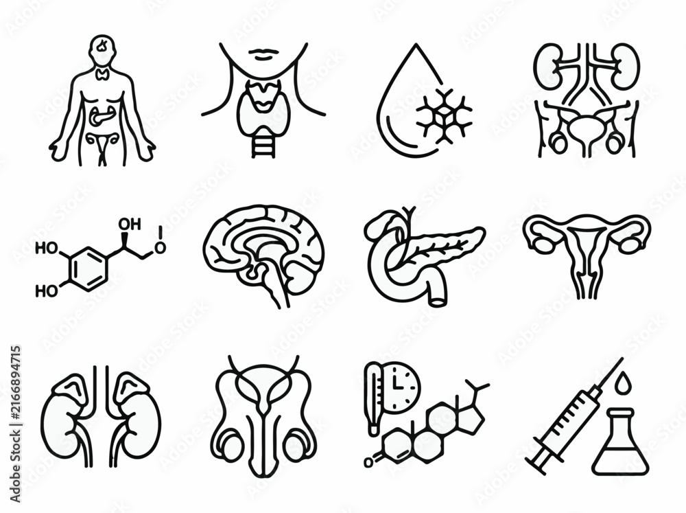 Fototapeta premium Endocrine system and internal organ icon set line art vector collection for medical education and healthcare web interface design
