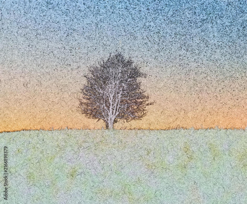 Bild auf Leinwand Lone tree standing in snowy field
