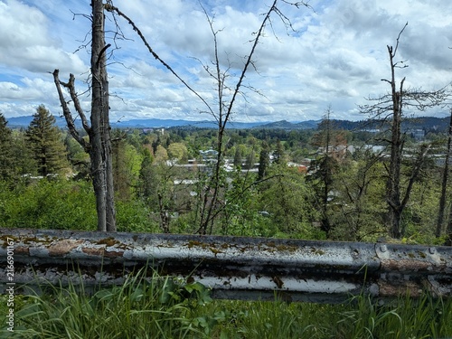 Fotografía Elevated view of Eugene surrounded by trees, with Autzen Stadium and its large football signage visible in the distance beneath a bright blue spring sky