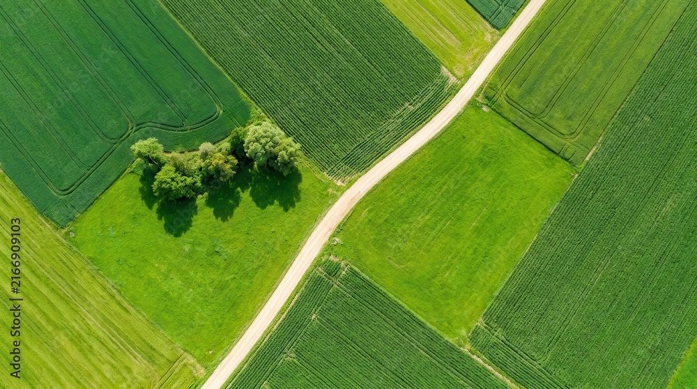 Obraz premium Beautiful countryside agricultural fields seen from a photorealistic top view drone perspective.