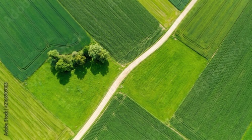 Beautiful countryside agricultural fields seen from a photorealistic top view drone perspective.