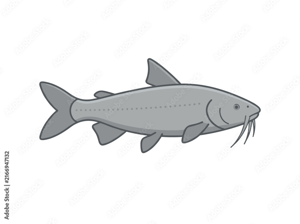 Fototapeta premium Flat vector illustration of a blue catfish isolated on white background