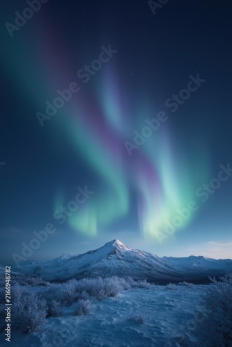 Aurora borealis dances across the night sky in vibrant green, blue, and purple hues above snow‑covered mountains and frosted shrubs, creating a serene winter spectacle.