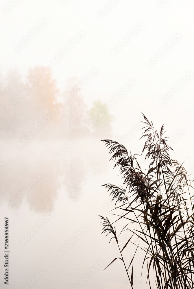 Obraz premium Kayak Paddle Resting on Green Deck Reflecting Pink Sunrise Lake