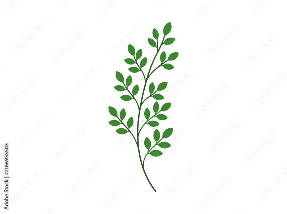 Fototapeta premium Minimalist green leaf branch illustration isolated on white background